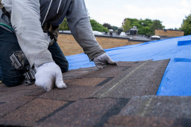 Best Sheet Metal Roofing  in Hinesville, GA